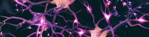 Ilustração artística de neurônios com conexões sinápticas iluminadas em tons de rosa e roxo, representando a atividade elétrica e química do sistema nervoso central.